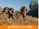 ST02B執法船用定位終端(solar power)